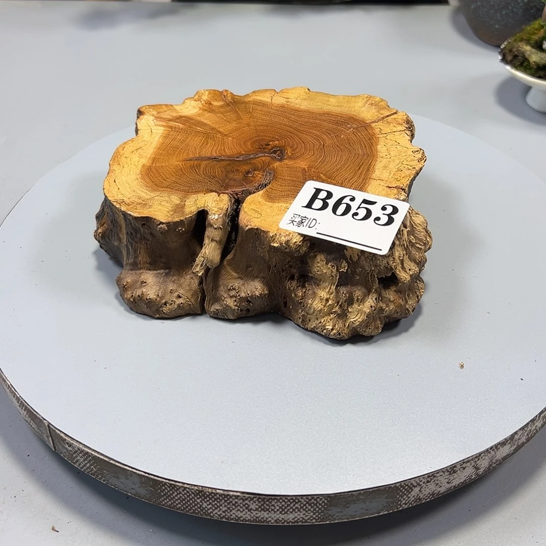 大果紫檀（缅甸花梨）风***化