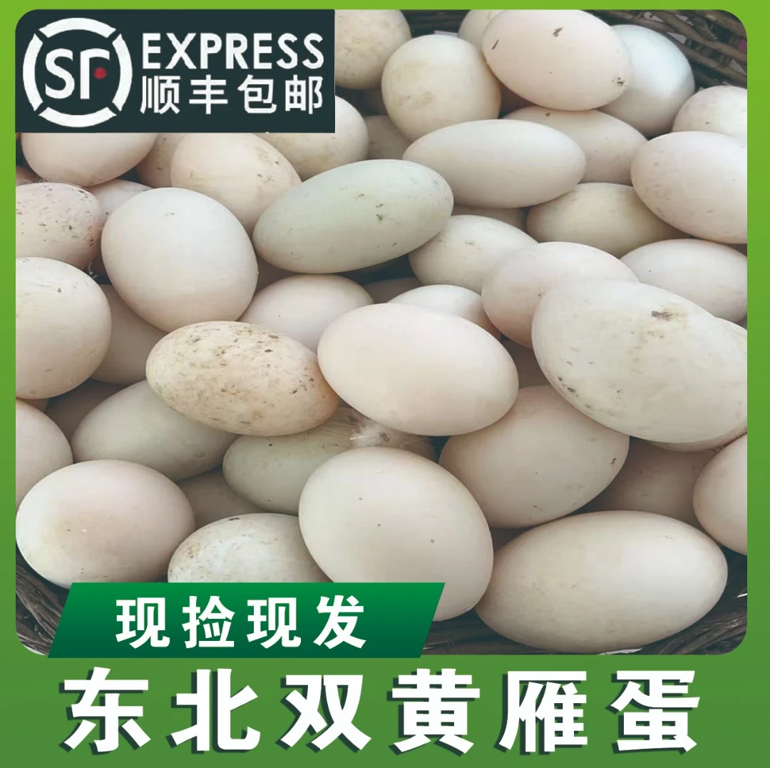 东北散养(雁蛋)个个双黄12枚一箱顺丰包邮开春餐桌必须美食