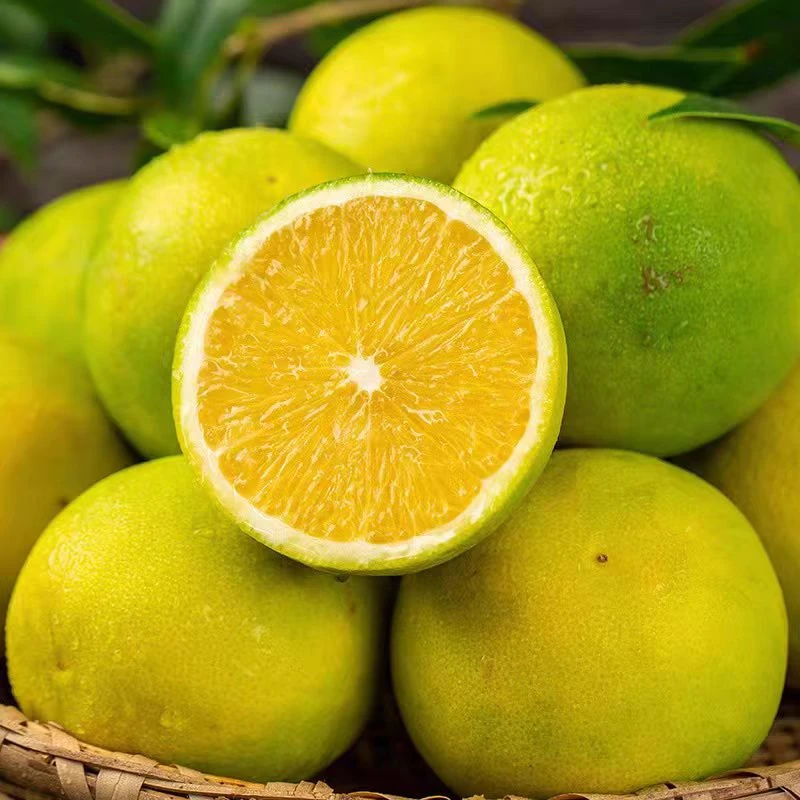 正宗云南冰糖橙青皮应季橙子清甜多汁皮薄应季新鲜水果