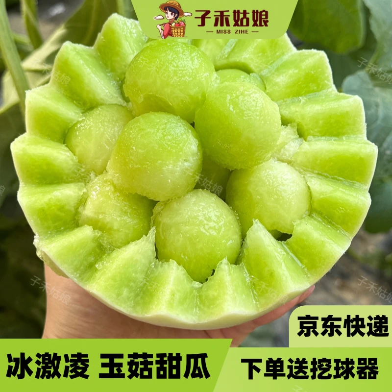 【藤上熟】山东冰激凌玉菇甜瓜新鲜现摘水果香瓜哈密瓜3.5/4.5斤