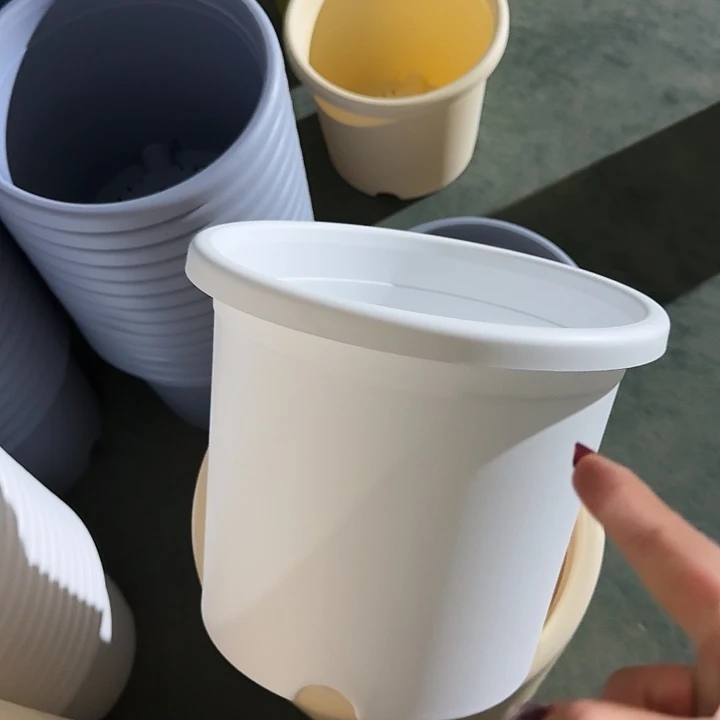 四季5号纯白无托10个特价微瑕