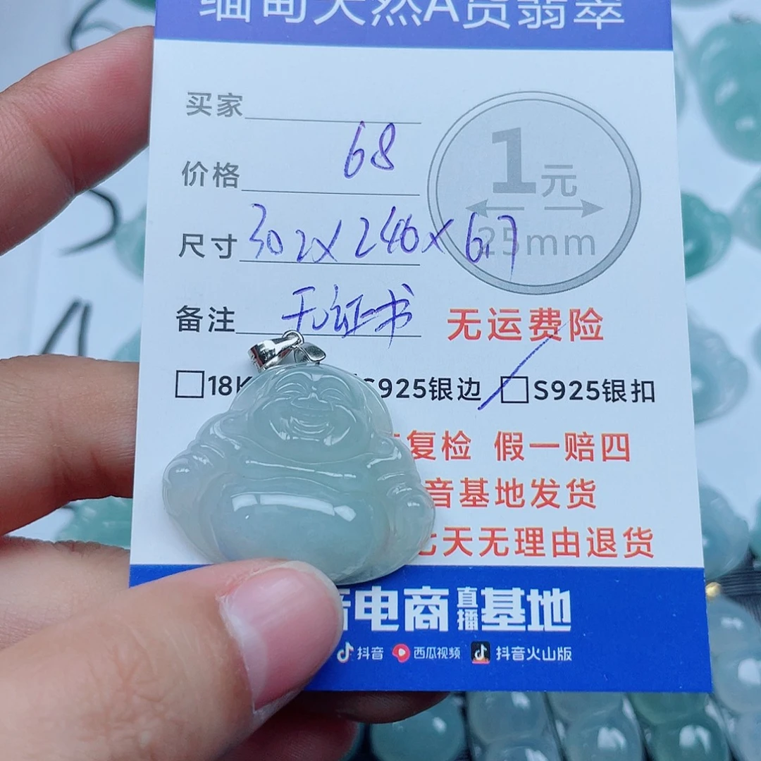 翡翠银S925镶嵌颈饰翡翠