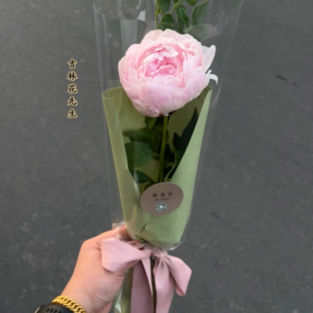 单支法式复古芍药（1支）
