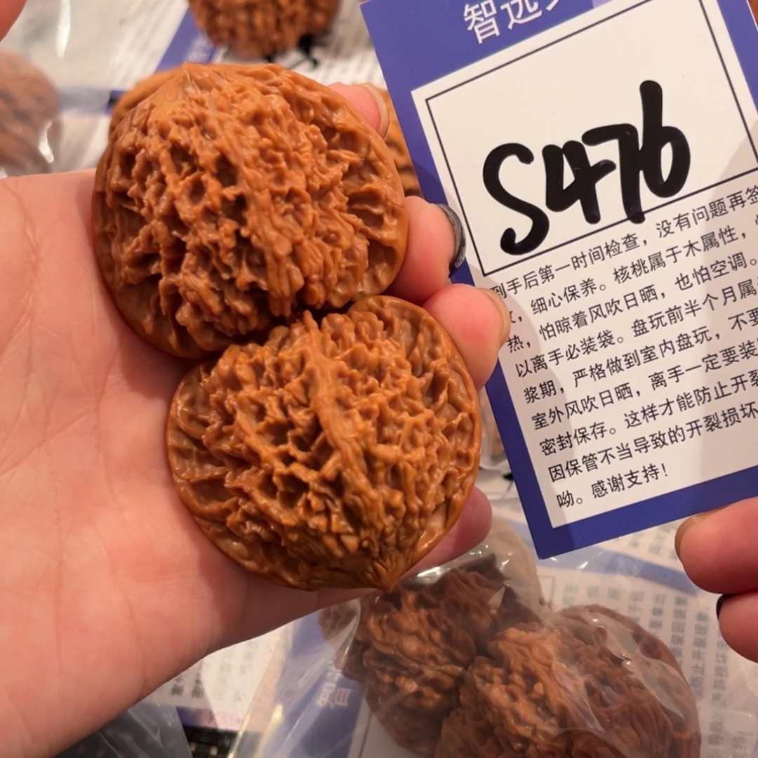 核桃S476号满天星44尺