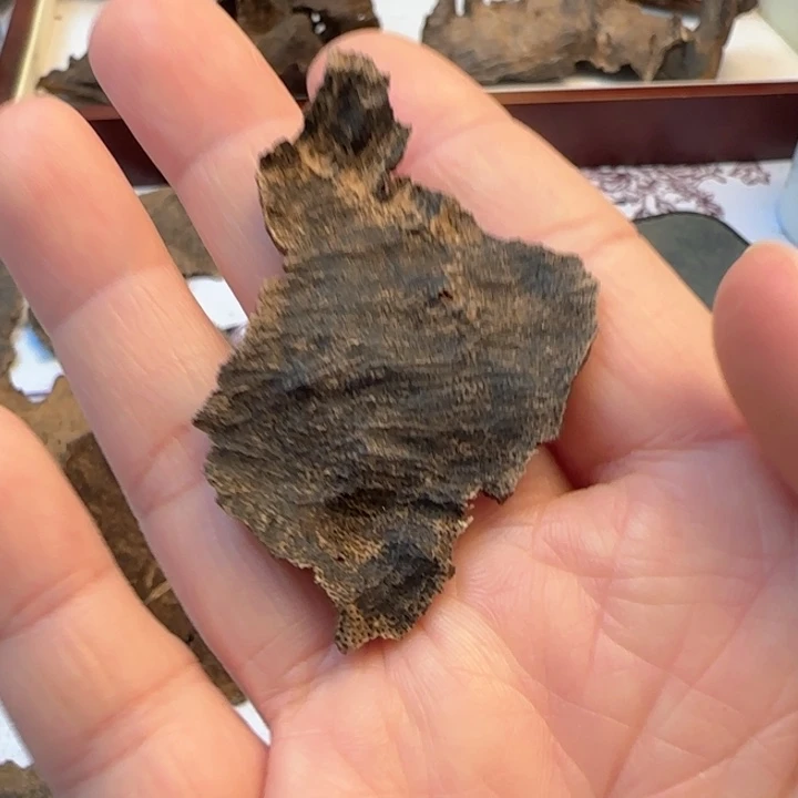 沉香摆件瑶*瑶海南包头沉水1.7克