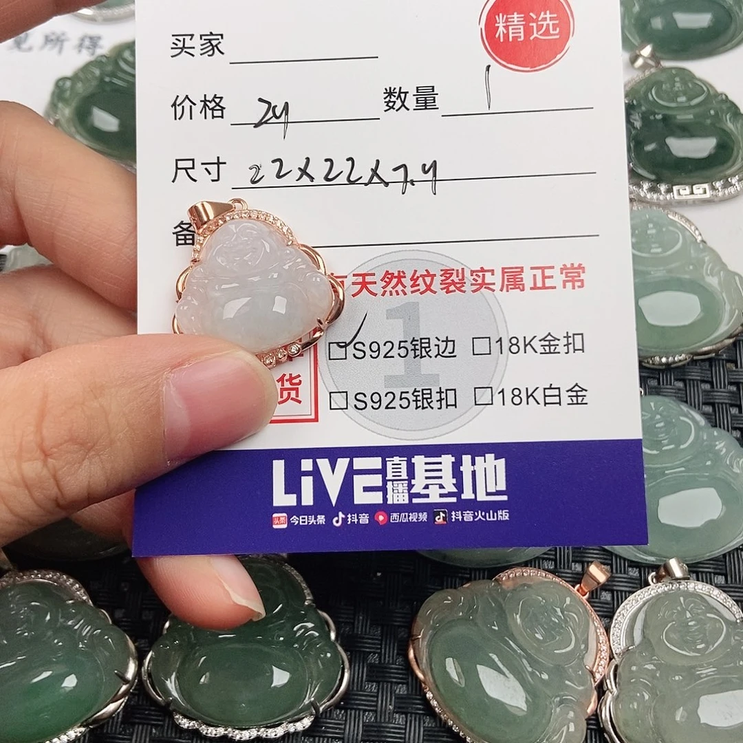 翡翠银S925镶嵌颈饰