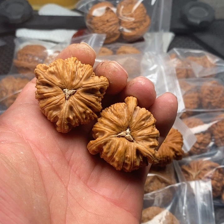 核桃把件迎***丈拼接白狮子5