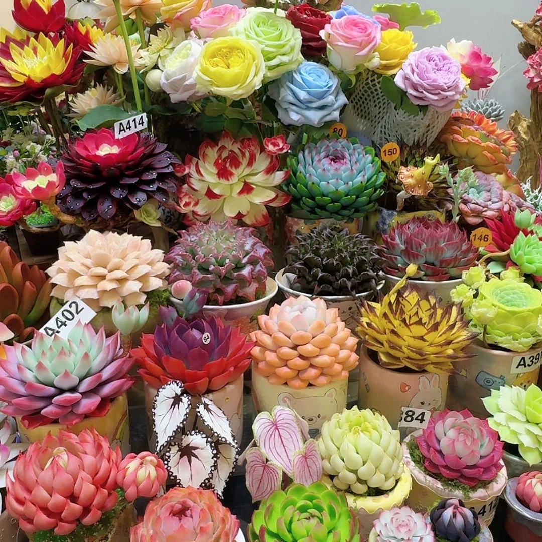 嘴***笑不用来咯哦不知道哦噢咯不来噢