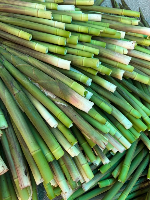 【顺丰包邮】高山小笋