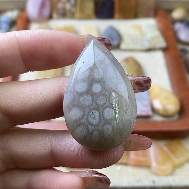 硅化珊瑚（珊瑚玉）未镶嵌颈饰