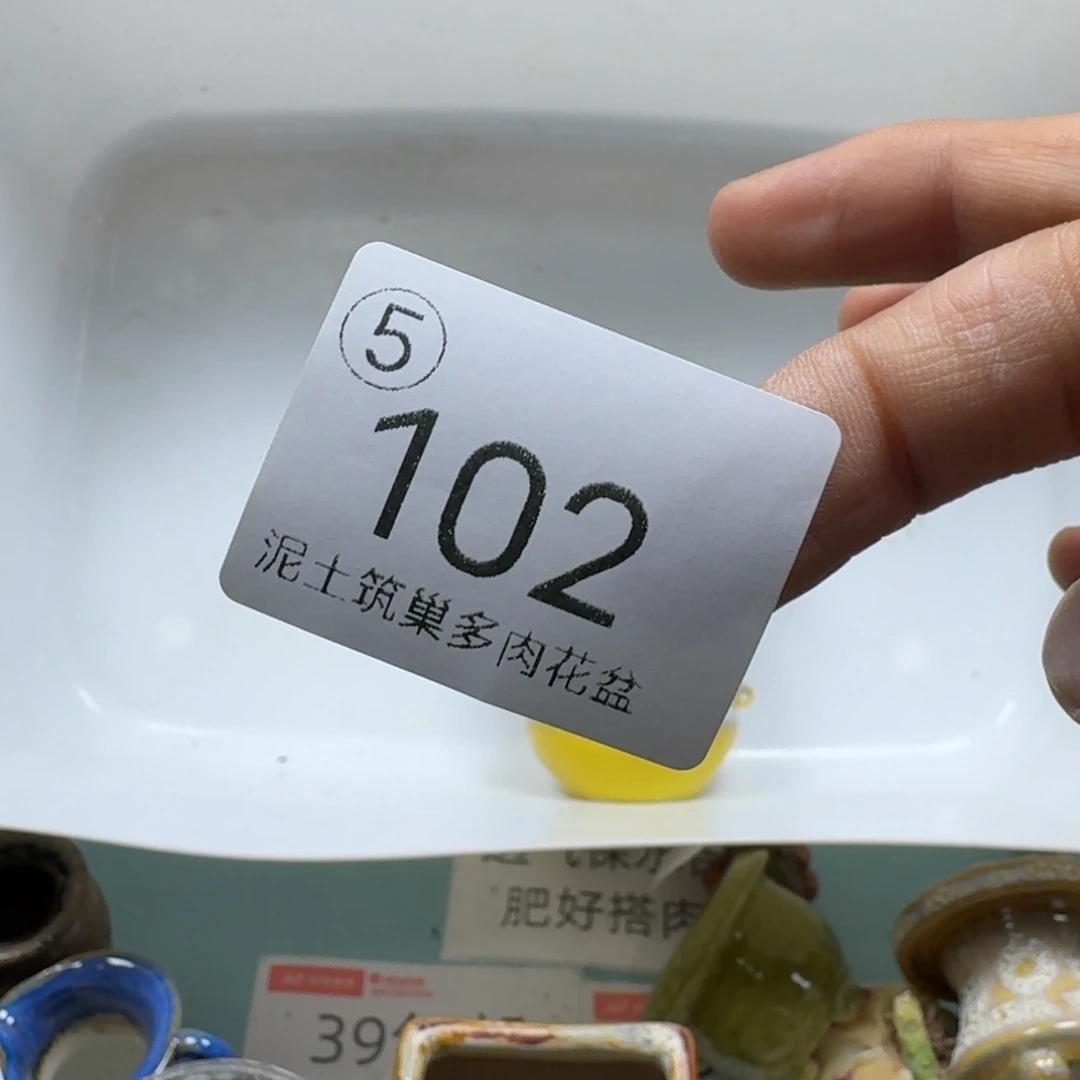 巾****陶瓷艺术设计与制作