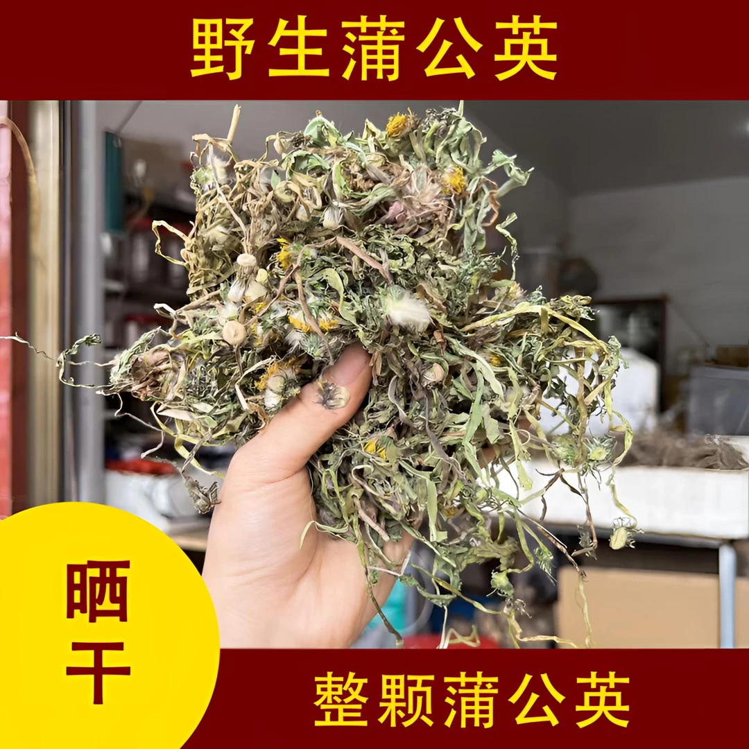 福建闽清雨晴农产品 蒲公英 整颗蒲公英 自然晒干农产品