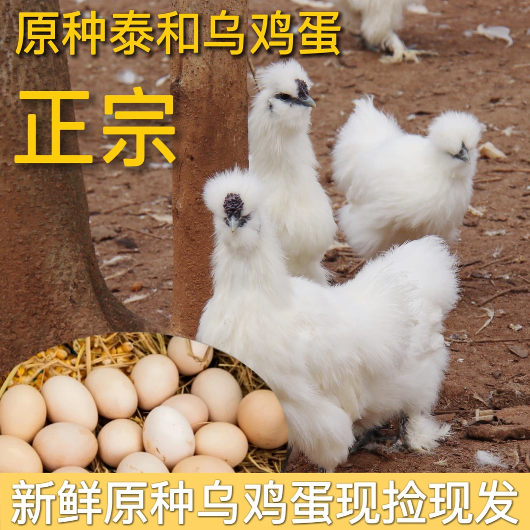 原种泰和乌鸡蛋 30枚装 散养泰和乌鸡蛋 粉壳蛋 顺丰包邮