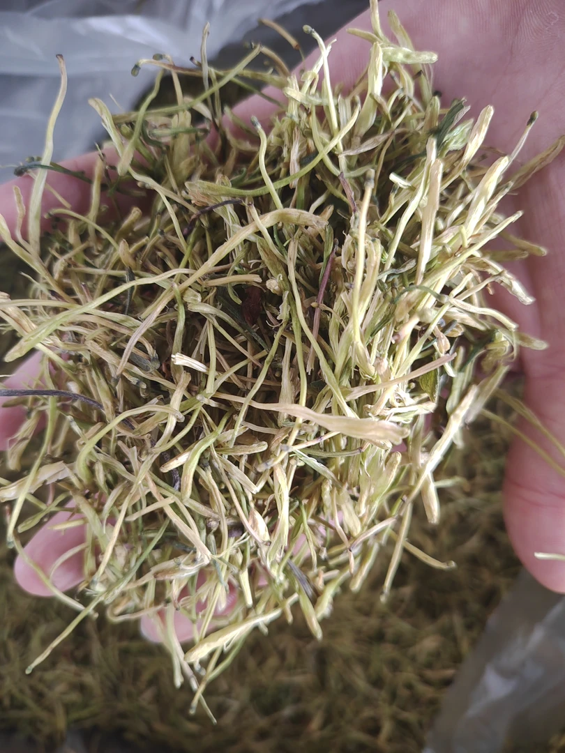 （老何）云南山货金银花