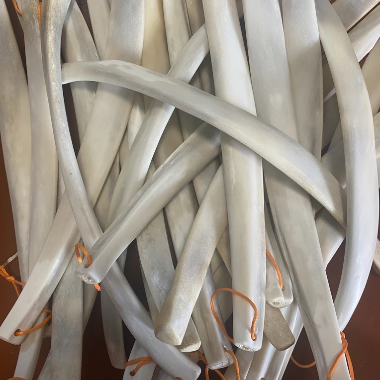 天然牛骨刮痧板中医养生腰背部颈椎全身通用刮痧板（中号）