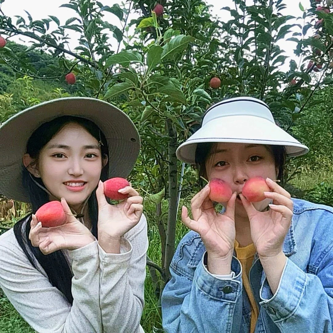 （福利款）小姨家鸡心果