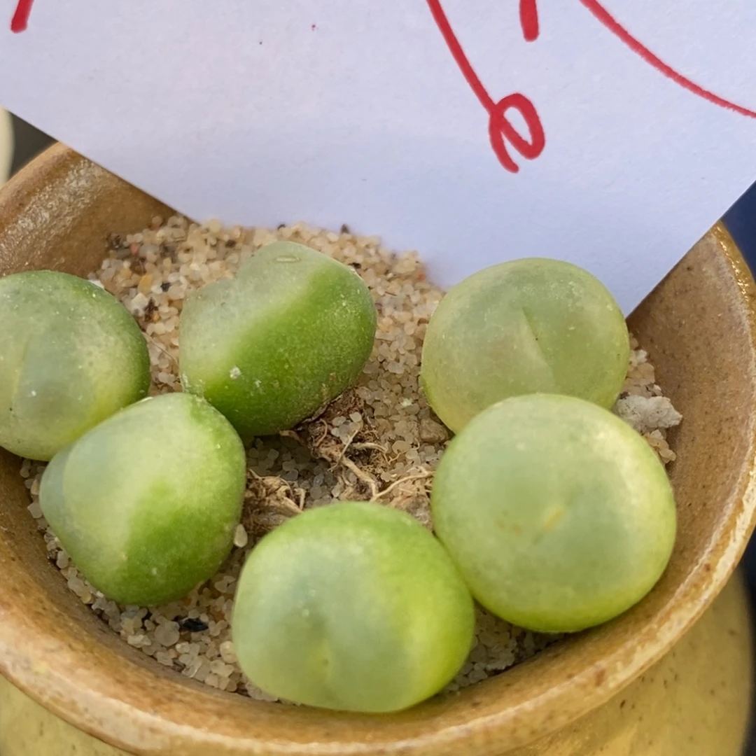 1079一组一组一组