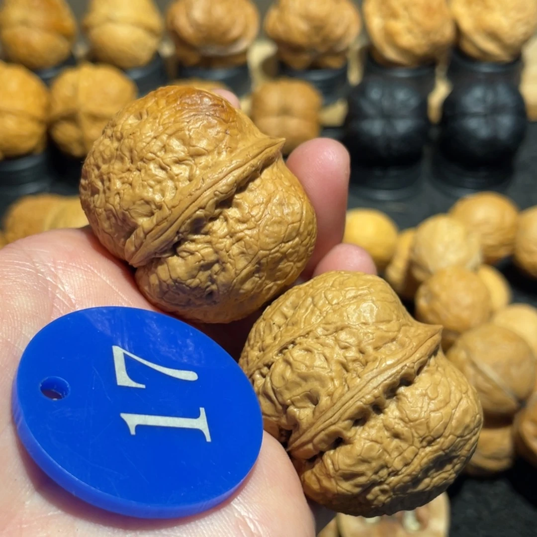 方尊元宝核桃带彩40