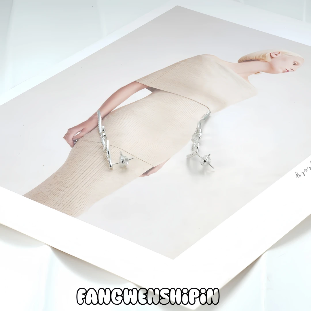 铜合金锆石耳饰 【925银针】耳环4578