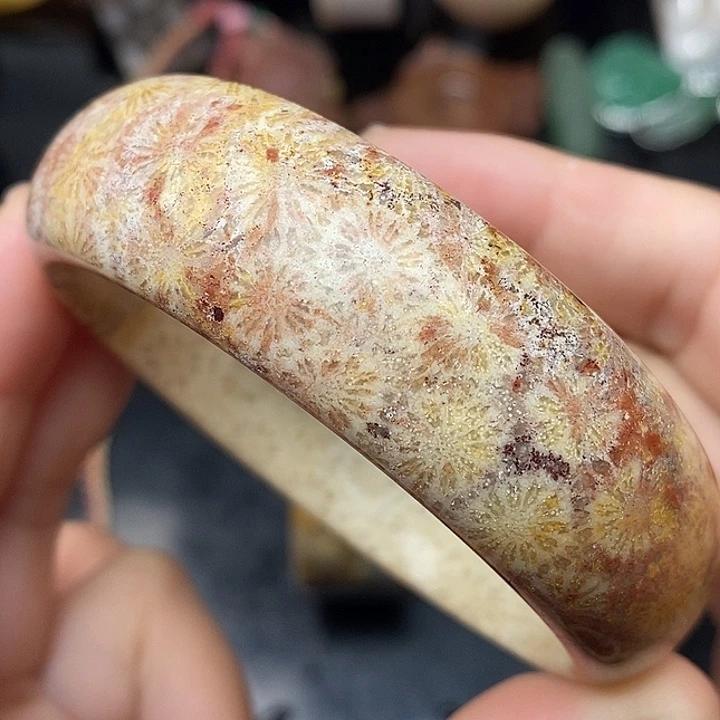 硅化玉未镶嵌颈饰60