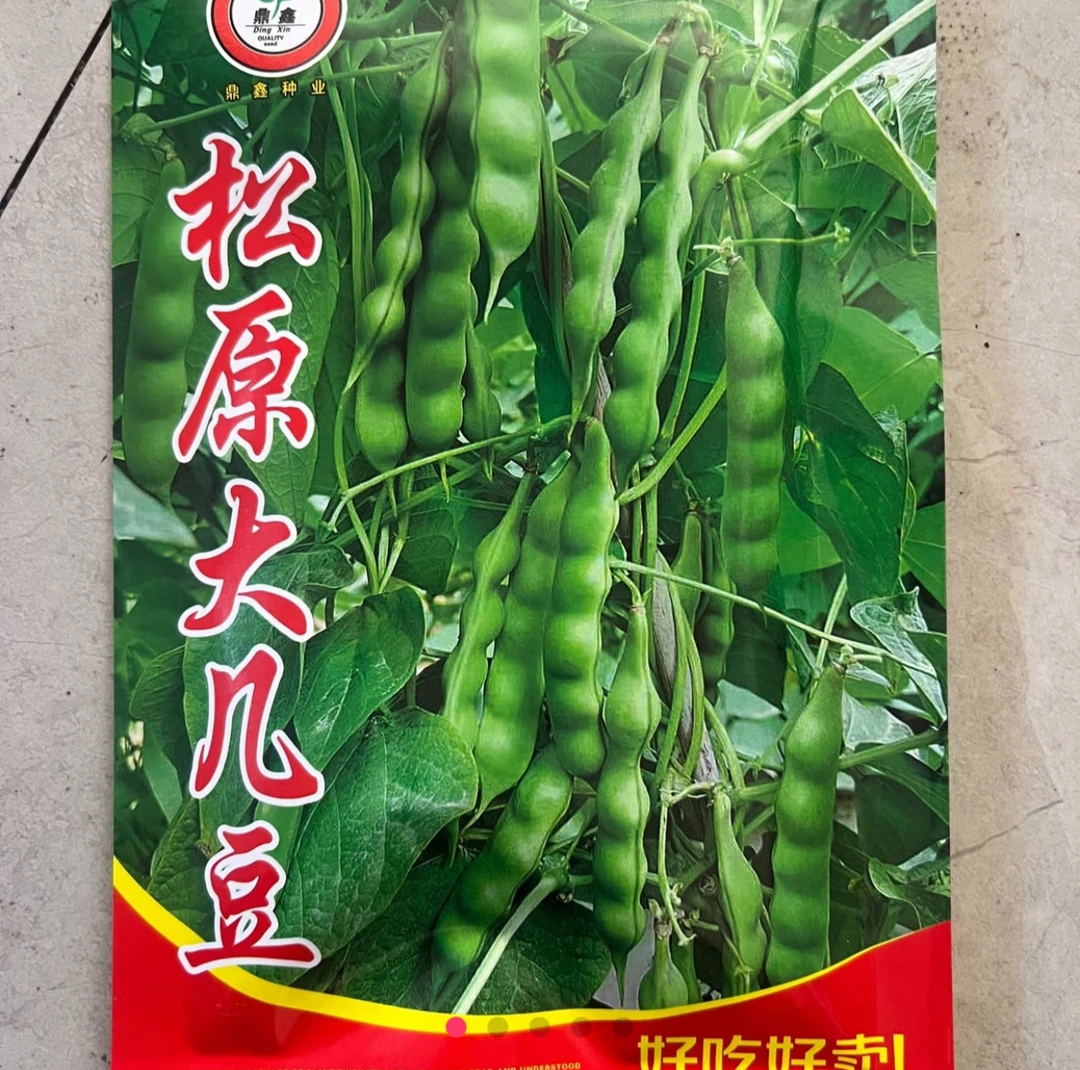 松原大几豆 豆角种子 50克