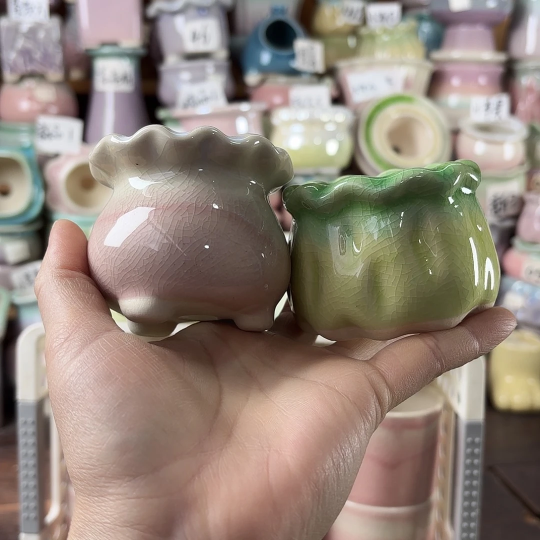 起****量货/5口高6深浅搭配发6