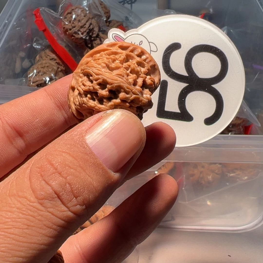 K***G文玩核桃，白色56号