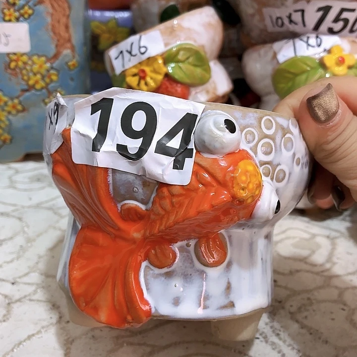 多肉花盆满15包邮