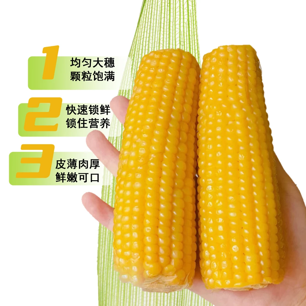【试吃2根】黄糯玉米香甜软糯粗粮 软粘玉米棒 整箱12支7-8斤Y