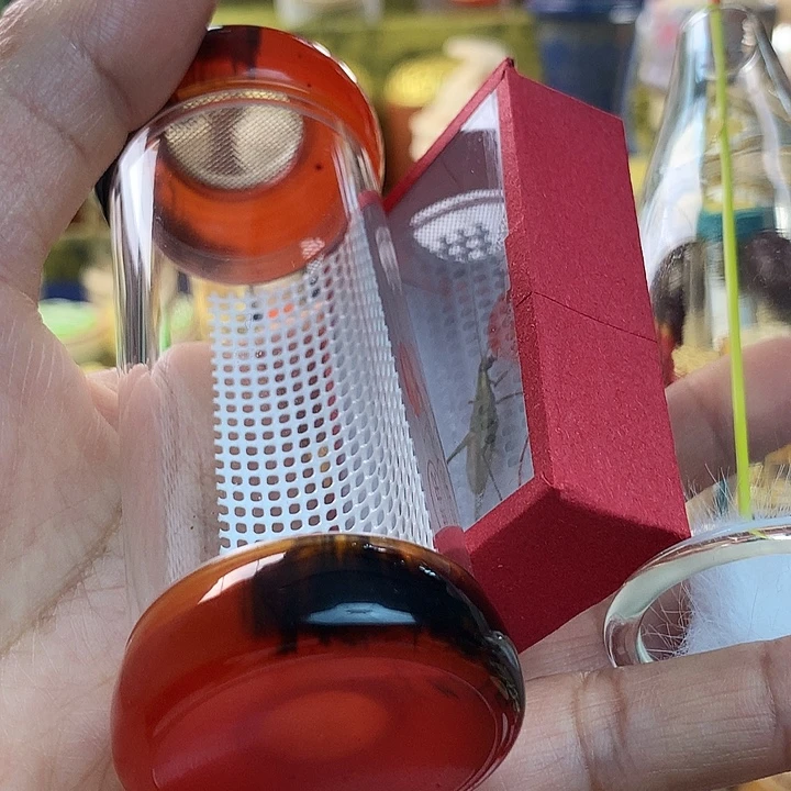 雪***原带网竹蛉套装啊啊啊啊啊啊