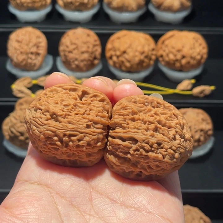 全品，精品，39南疆062