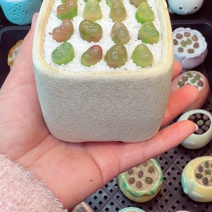 7002零下地区记得拍保温箱