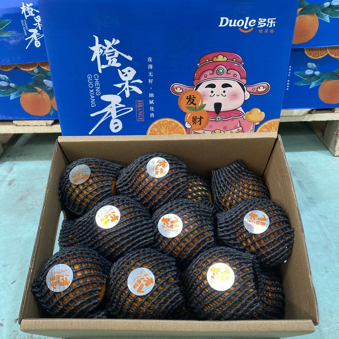 【蓝箱】蜜橙星球  清甜水分足果肉嫩  带箱8斤斤往上