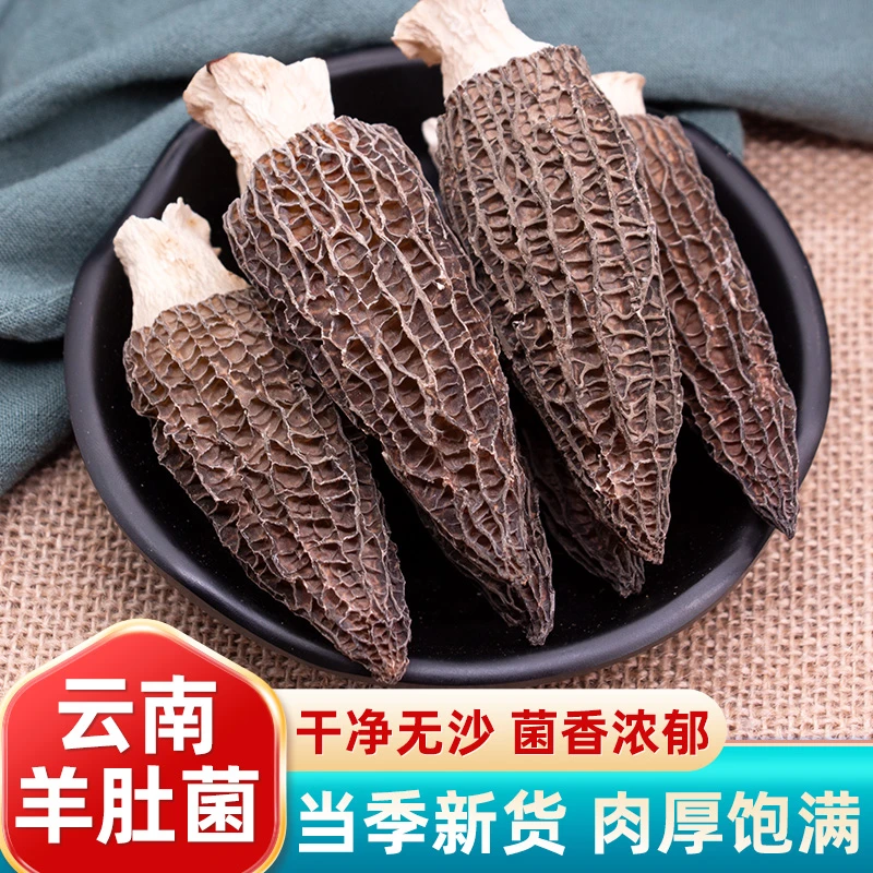 农初选】羊肚菌头茬精品菌菇云南山珍特产 煲汤炖鸡材料南北干货