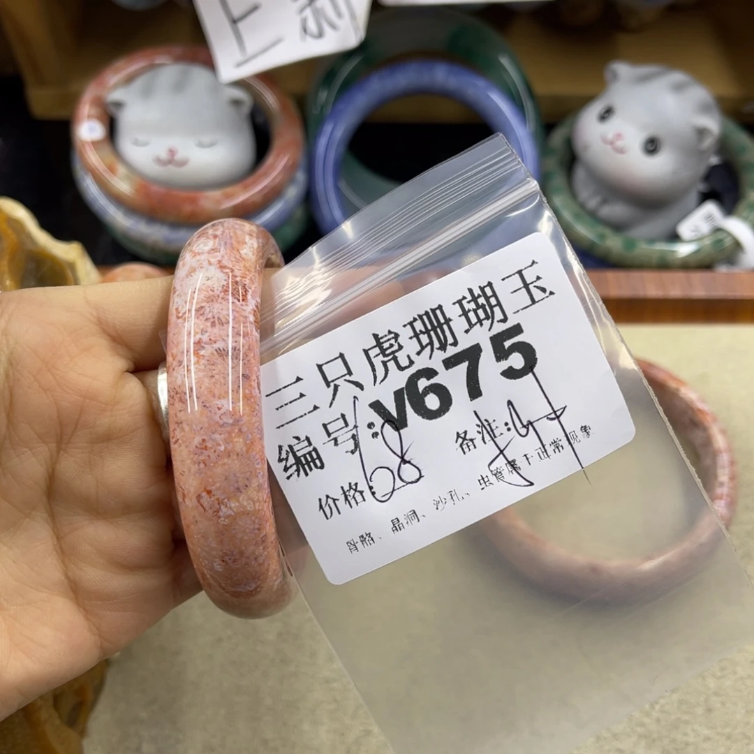 淡***…硅化珊瑚（珊瑚玉）未镶嵌h