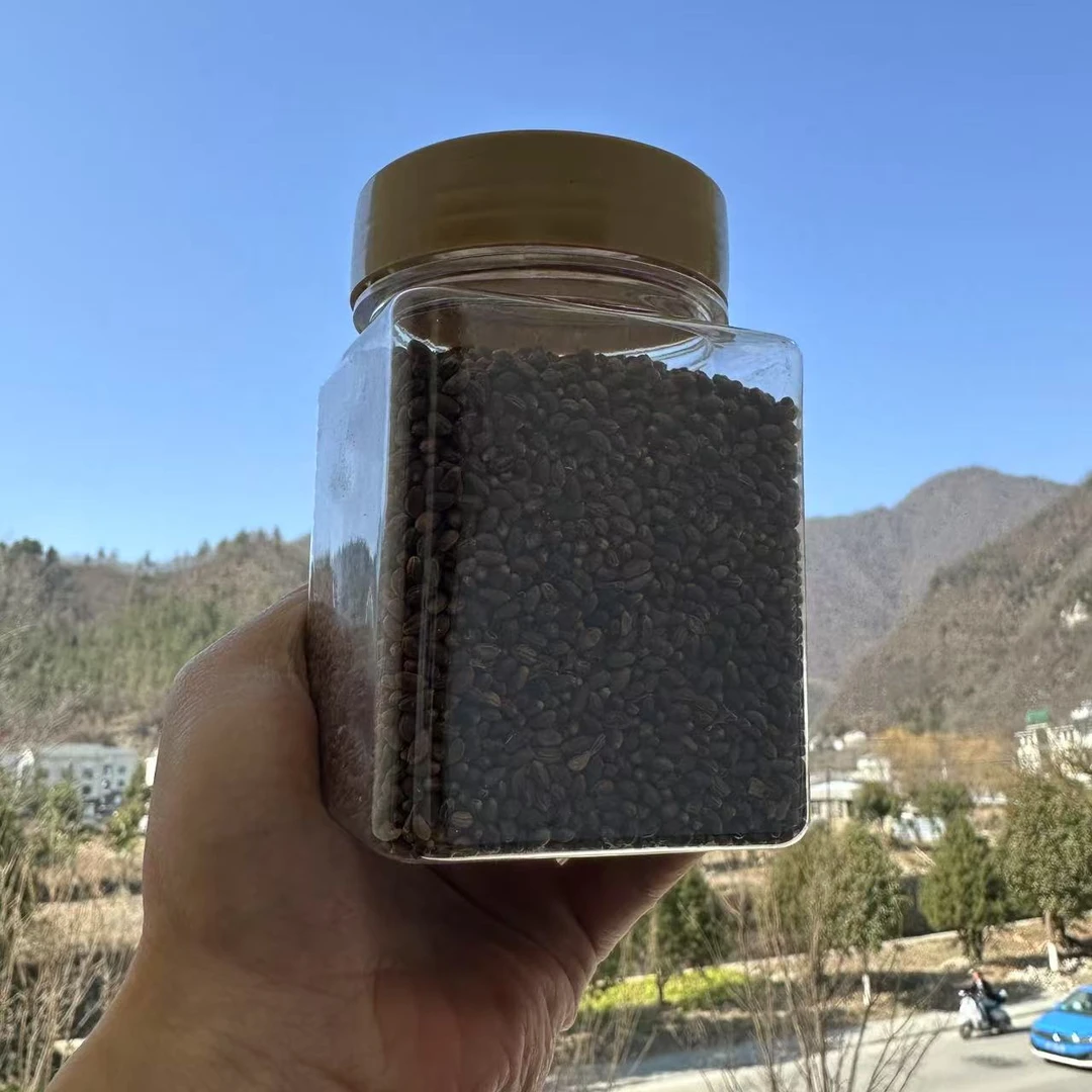 神农架高海拔深山竹米