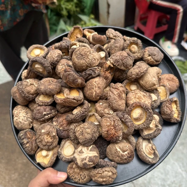 香菇 云南赶集现收山货