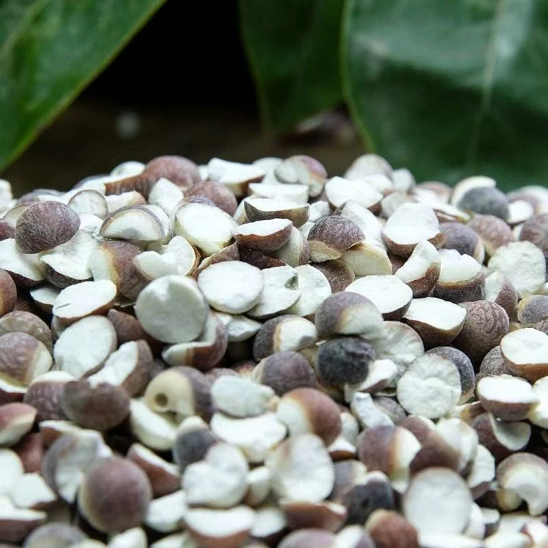 【静静家】肇庆红芡实干货新鲜茨实