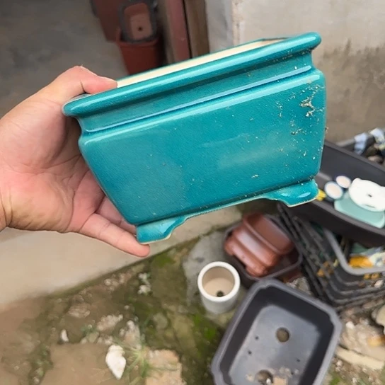 这几位朋友在做一年