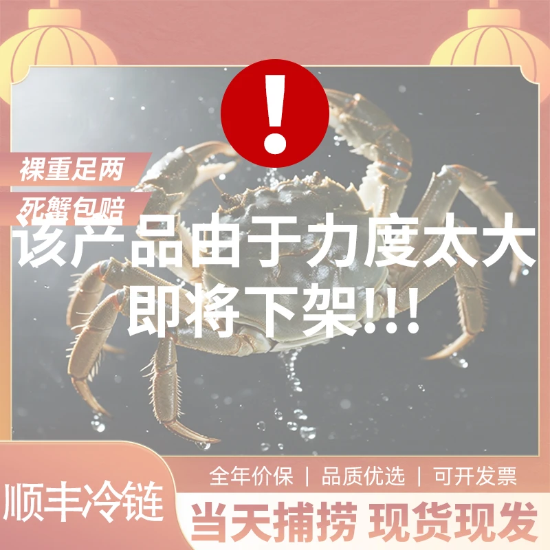 【活蟹】河蟹母蟹②点⑤两6只10只鲜活现货礼盒包装吃蟹工具姜茶