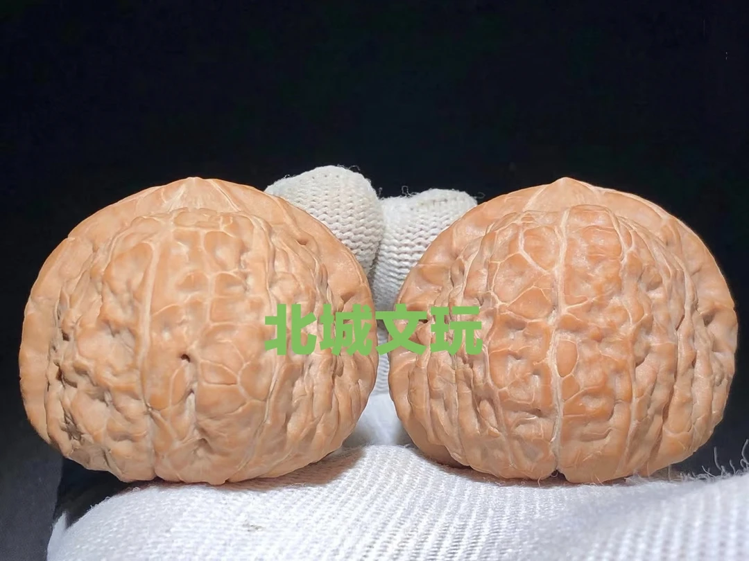 南瓜墩全尺寸25年精品（全品）
