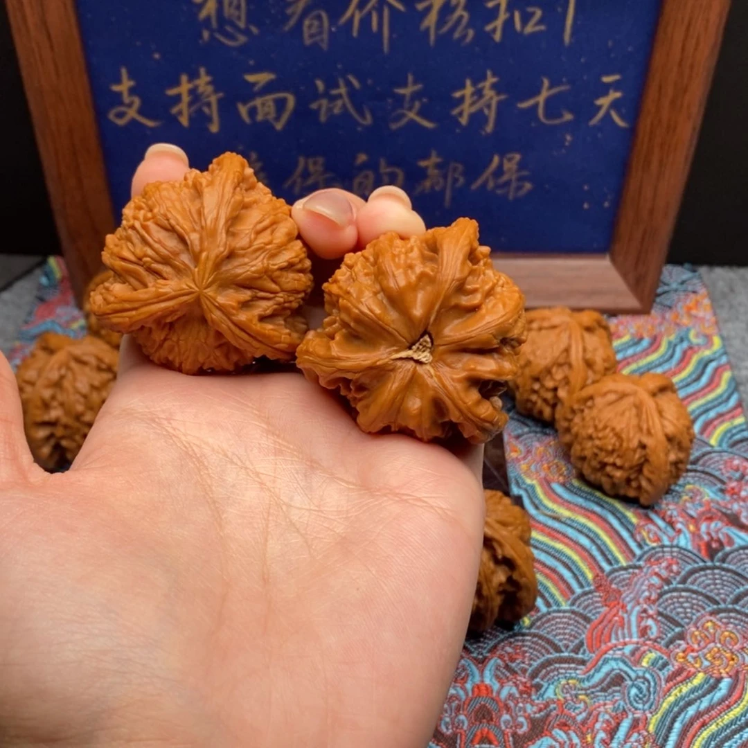【闪购商品】奉****T白狮