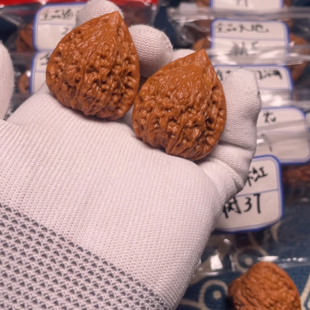 峰*37蛇王！！！！！！！！！