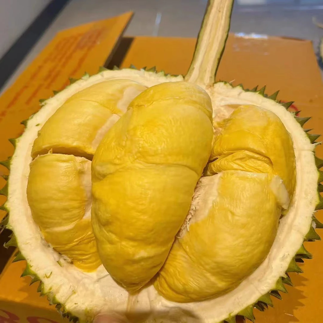 【果然好】马来西亚进口鲜果榴莲D101整颗鲜榴莲当季新果核小2.5-3斤D101马来西亚