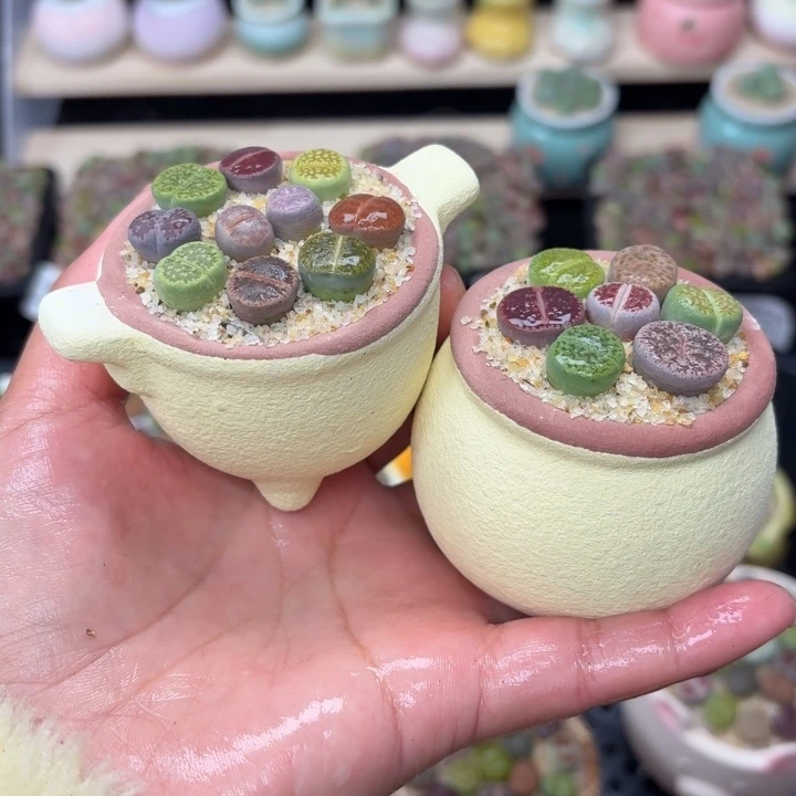 6024零下地区记得拍保温箱