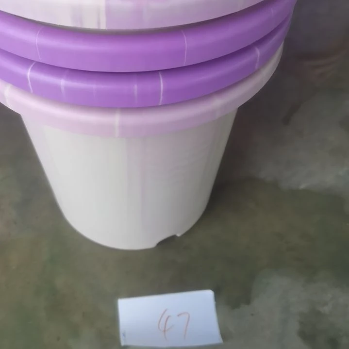 编号是47号的47号的