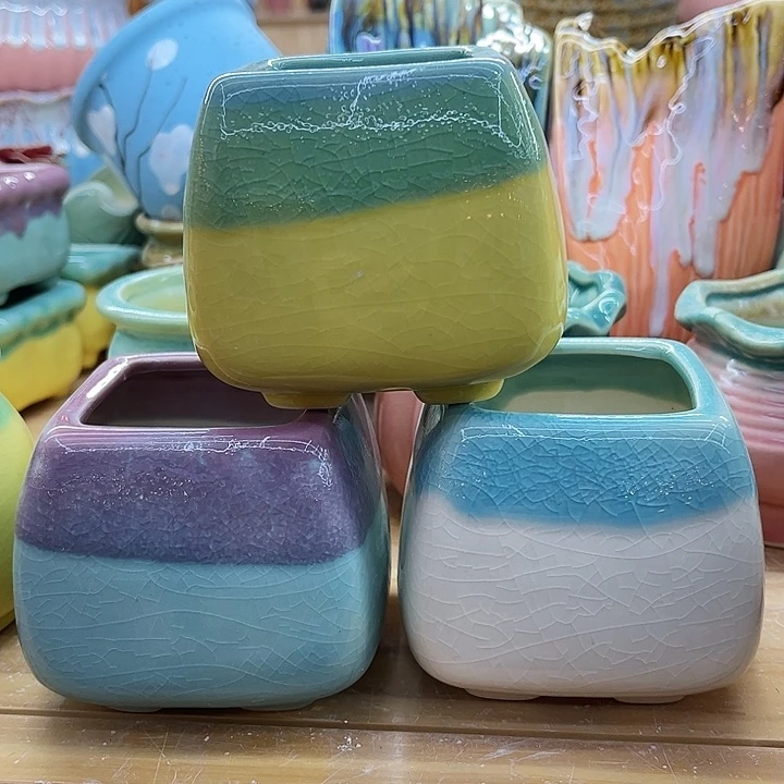 多肉植物陶瓷花盆