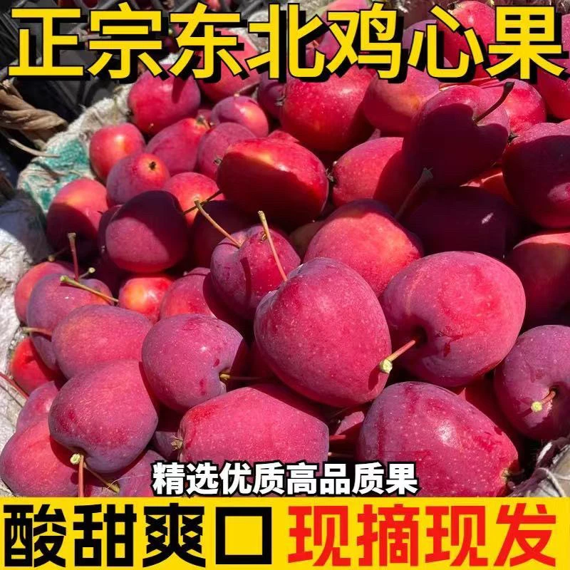 东北特产鸡心果新鲜采摘脆甜可口自然成熟现摘现发