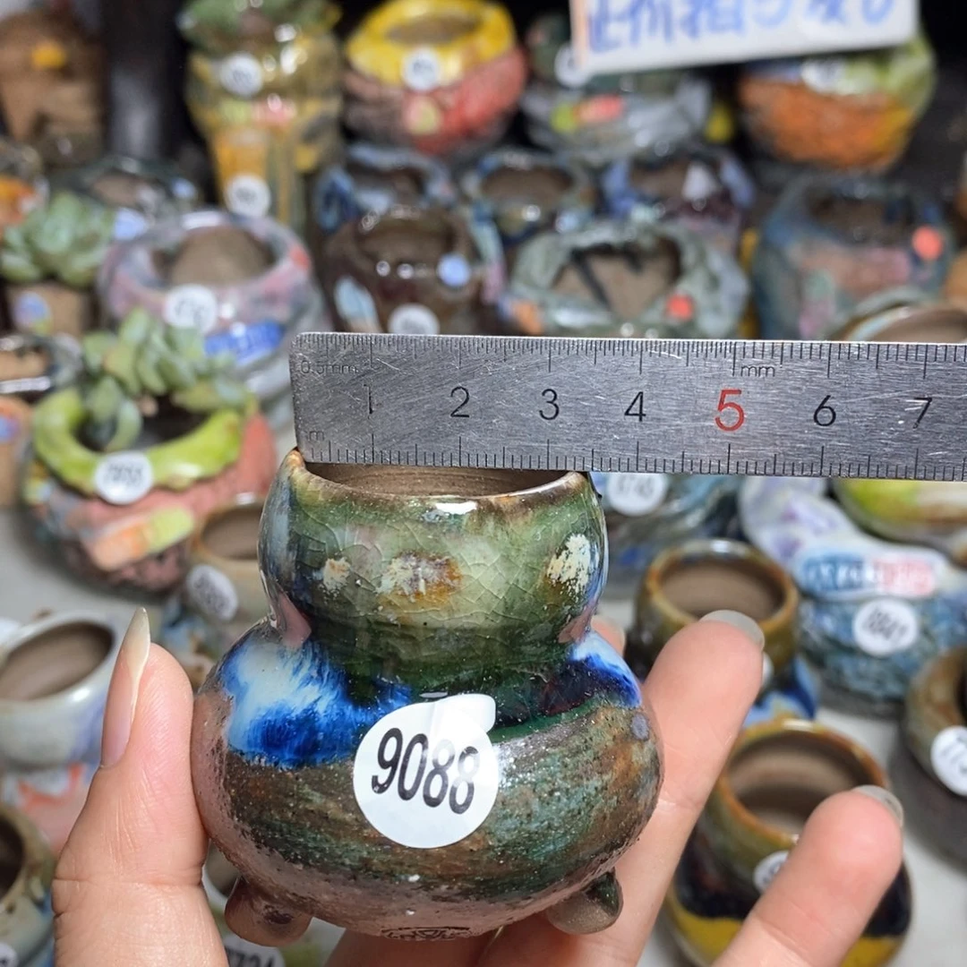 拍5送一个小礼物