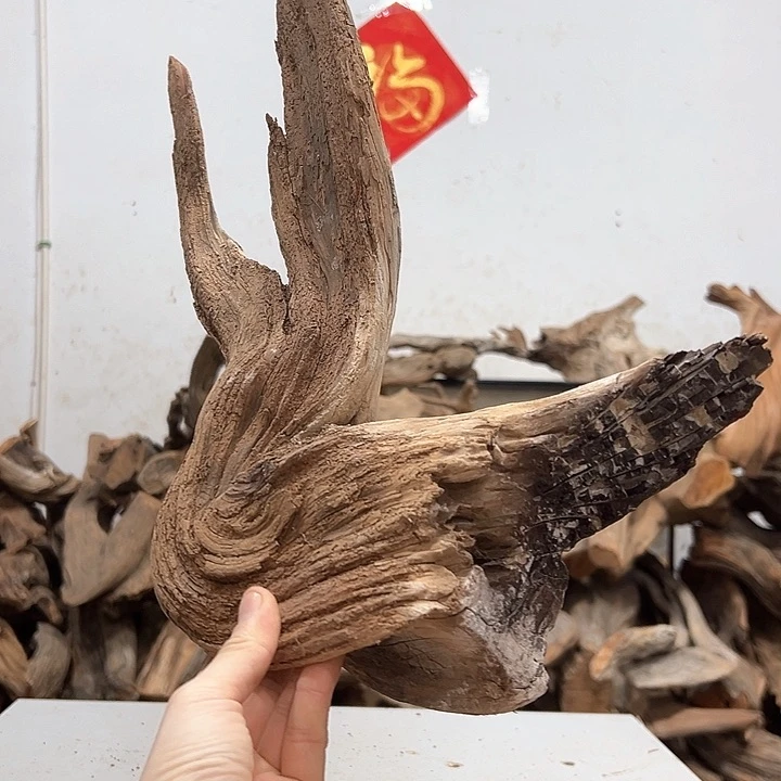 柏木神****?我们的生活也是如此的丰富